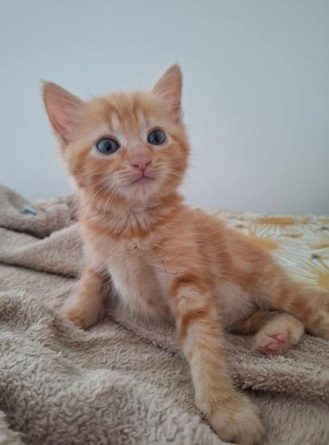 Doudou 