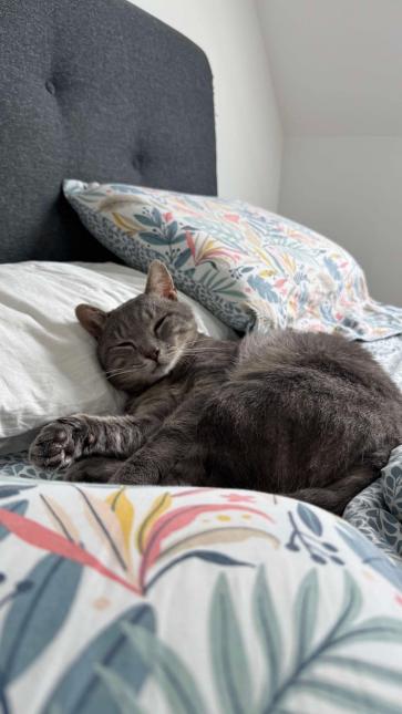 Mimi