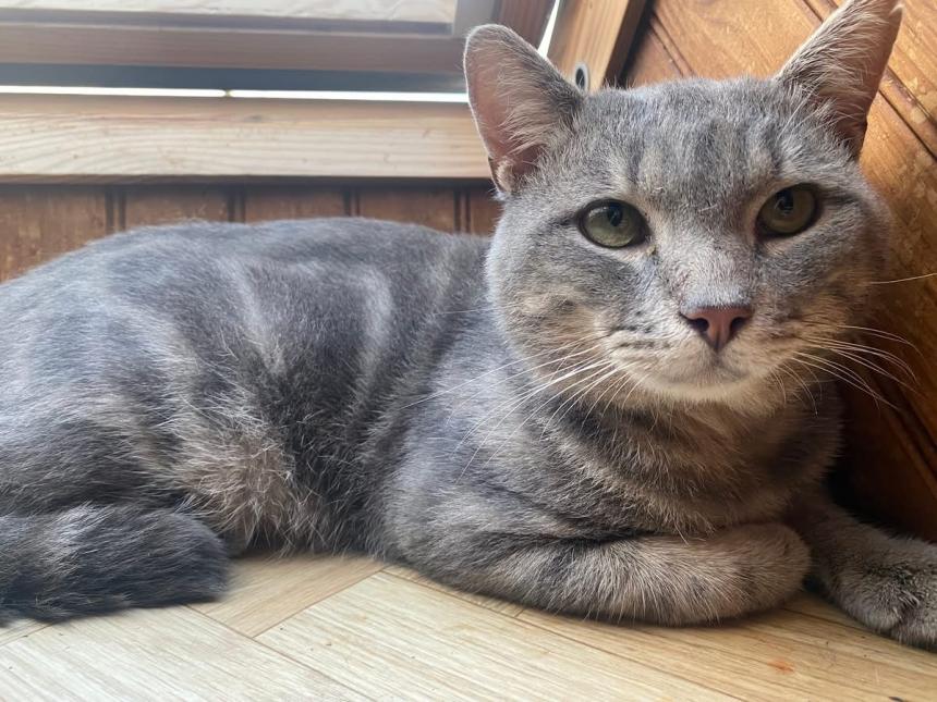 Mimi