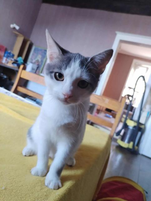 Labri