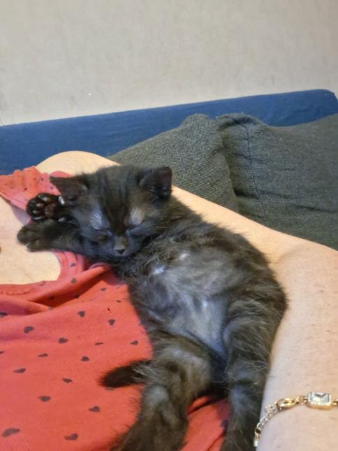 KROKMOU