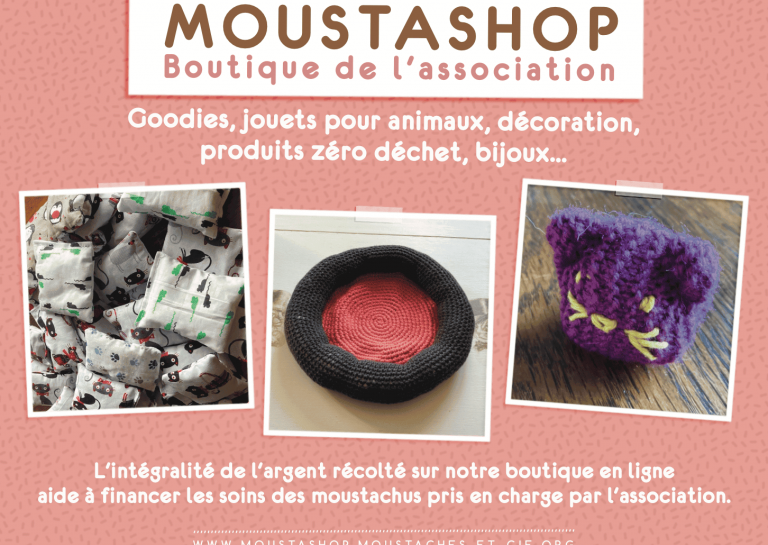 Bannière Site Moustashop