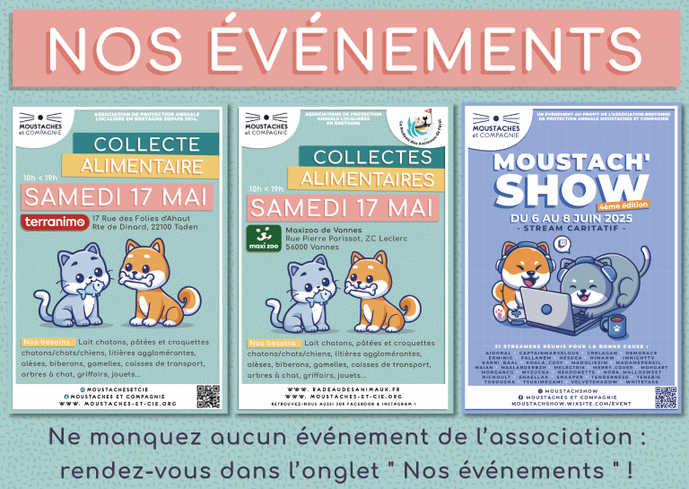 Bannière_NosEvenements.png