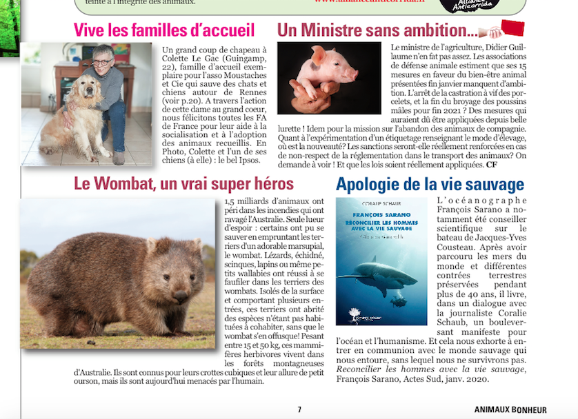 article animaux bonheur 2020