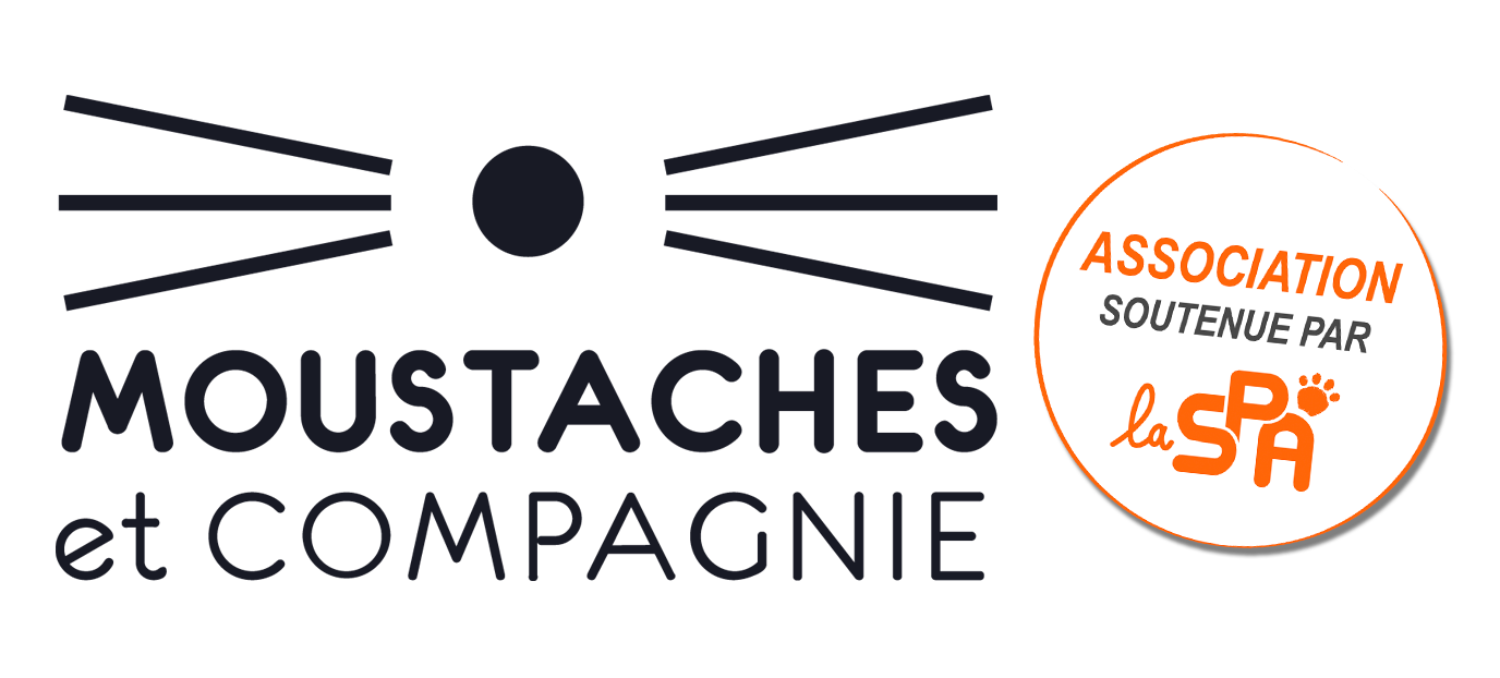 logo moustaches et vie