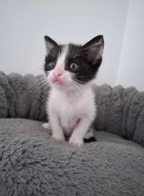 Tiny