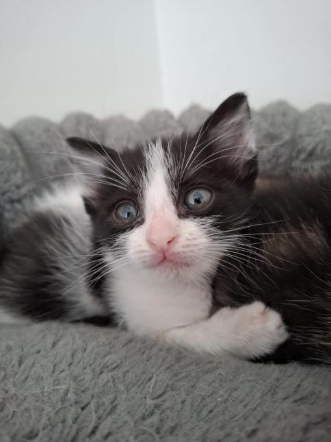 Tiny