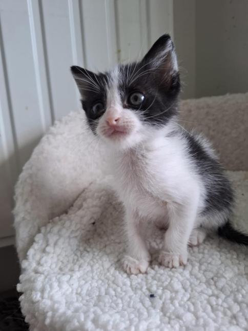 Tiny
