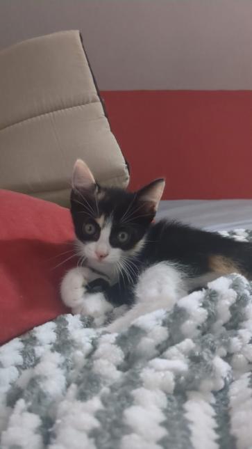 Kira