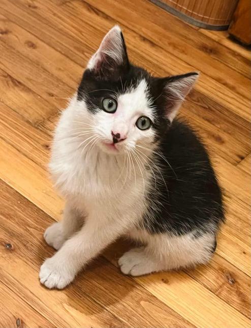 Charlie