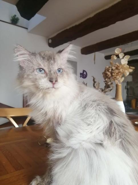 Nuage