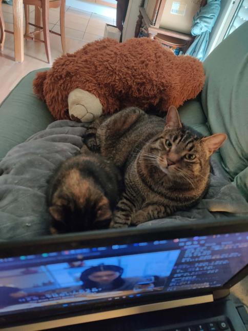 CHIPIE et PAGNOL