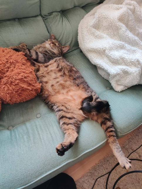 CHIPIE et PAGNOL