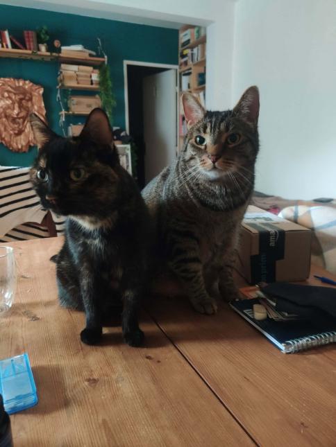 CHIPIE et PAGNOL