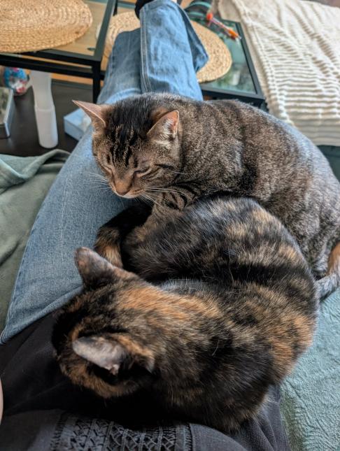 CHIPIE et PAGNOL