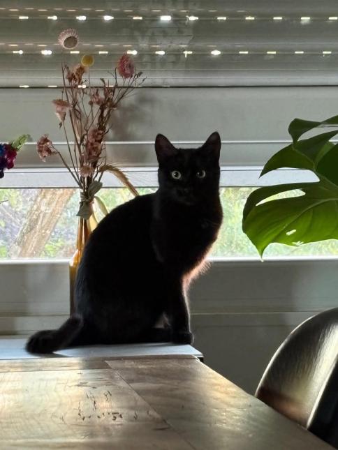 LUNA