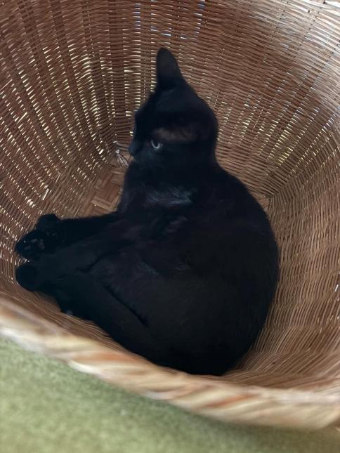 LUNA