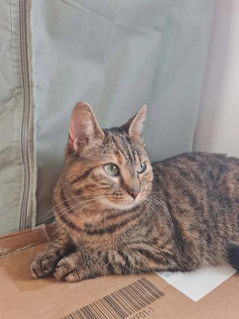 NALA