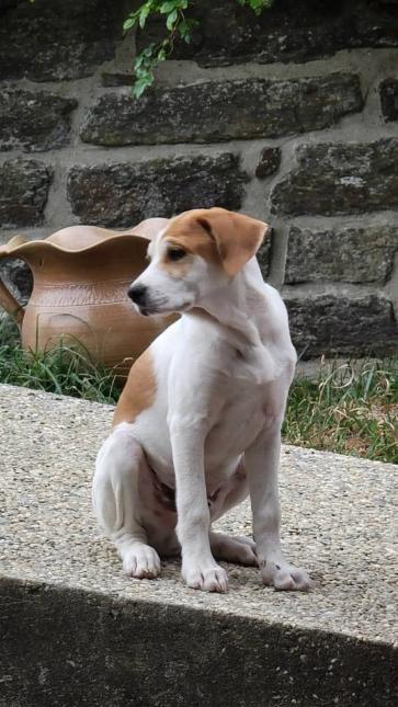 BOUNTY