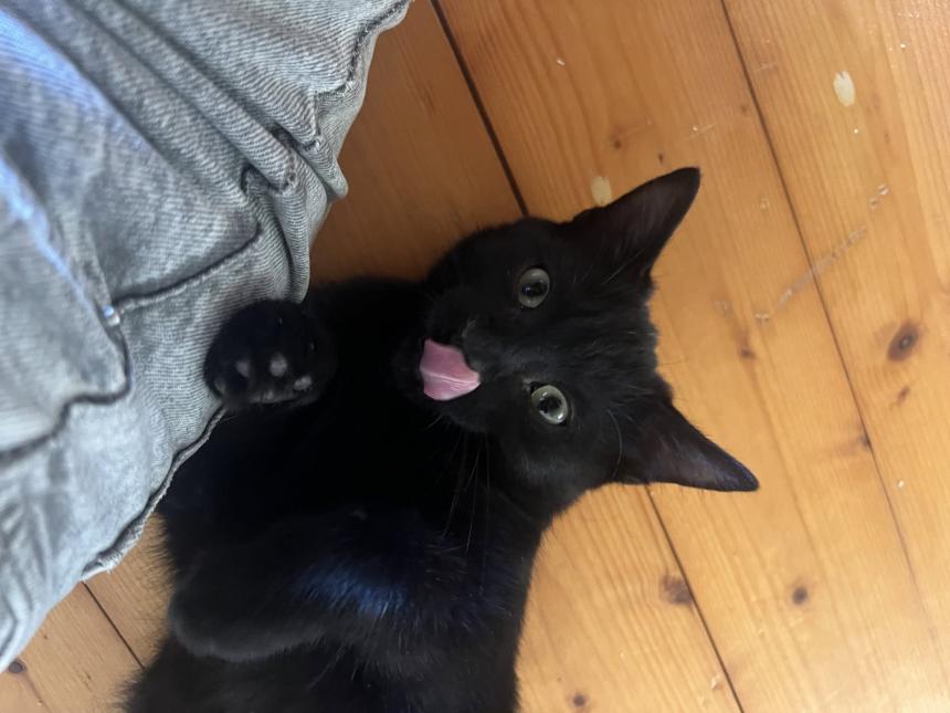 ZORO