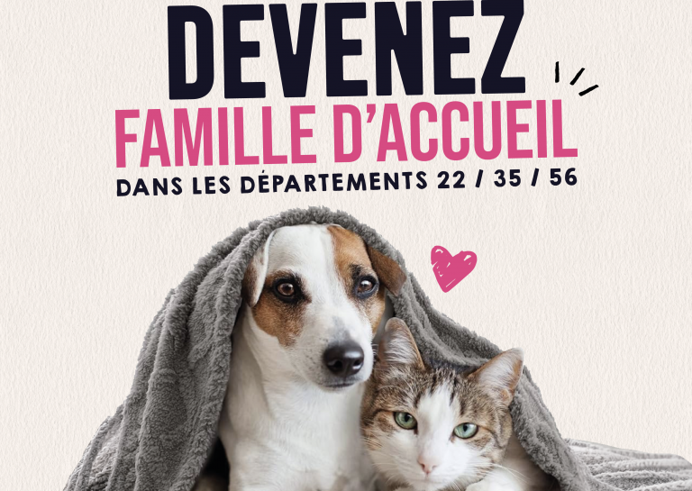RechercheFA.png
