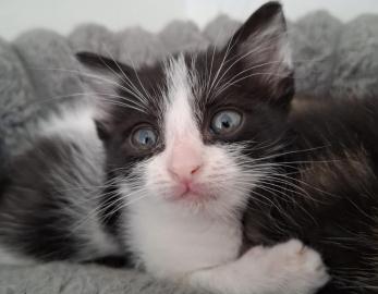 Tiny